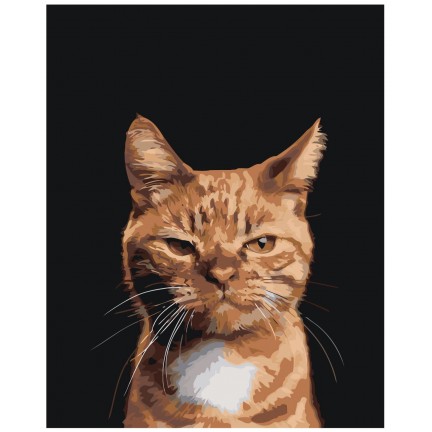 Maalaa numeroilla Z-NA33