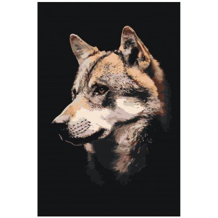 Maalaa numeroilla Z-NA58