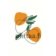 Maalaa numeroilla Z-NA6