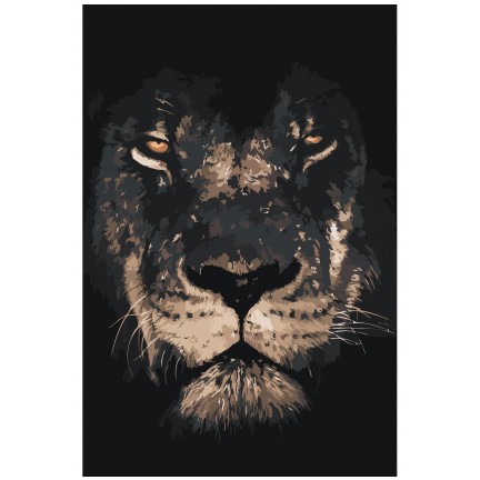 Maalaa numeroilla Z-NA75