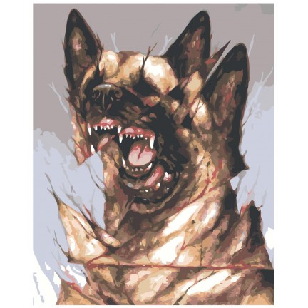 Maalaa numeroilla Z-NA86