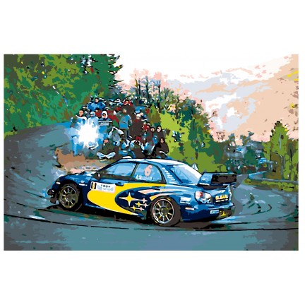 Maalaa numeroilla Z-Z101383