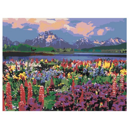 Maalaa numeroilla Z-Z10199