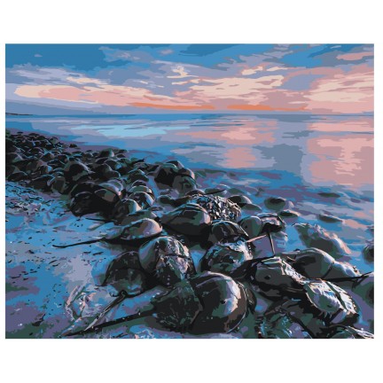 Maalaa numeroilla Z-Z284