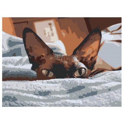 Maalaa numeroilla Z-Z34902