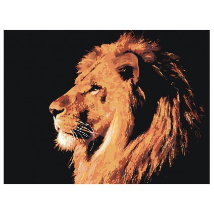 Maalaa numeroilla Z-Z4020