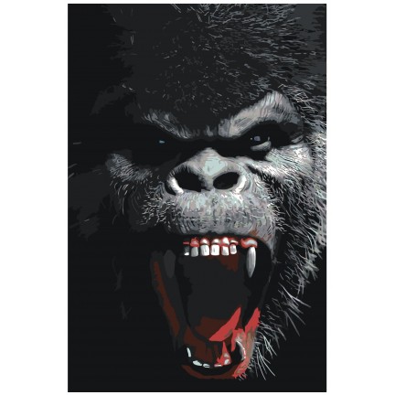 Maalaa numeroilla Z-Z4241 Maalaa numeroilla Z-Z4241