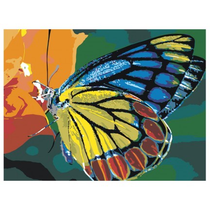 Maalaa numeroilla Z-z15061