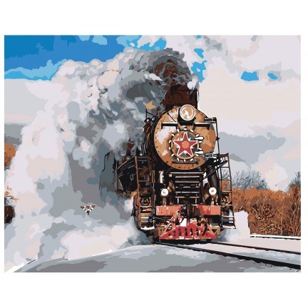 Maalaa numeroilla Z101546