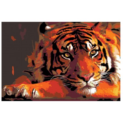 Maalaa numeroilla Z1795 Maalaa numeroilla Z1795