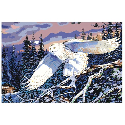 Maalaa numeroilla Z3175