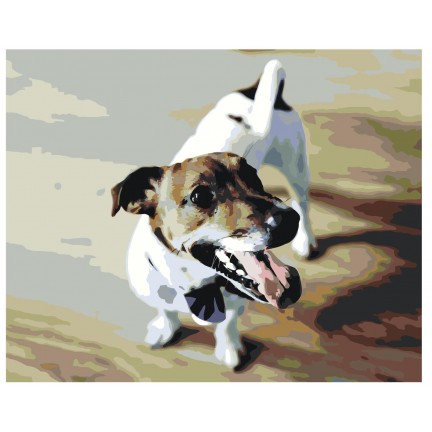 Maalaa numeroilla Z3484