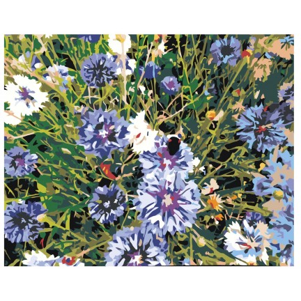 Maalaa numeroilla Z4120