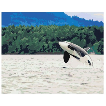 Maalaa numeroilla Z68501 Maalaa numeroilla Z68501