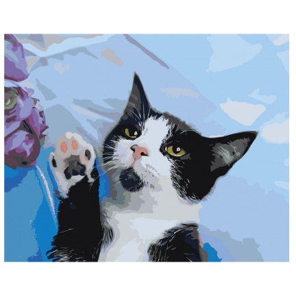 Maalaa numeroilla ZGENA101100342