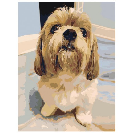 Maalaa numeroilla ets234-3040 Maalaa numeroilla ets234-3040