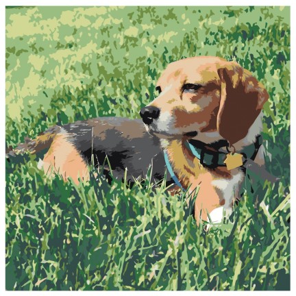 Maalaa numeroilla ets351-4040 Maalaa numeroilla ets351-4040