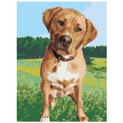 Maalaa numeroilla ets357-3040