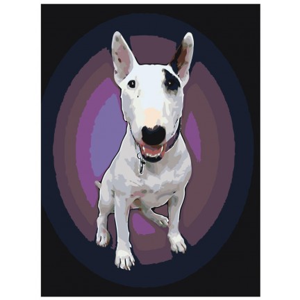 Maalaa numeroilla ets446-3040