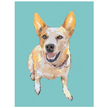 Maalaa numeroilla ets454-3-3040