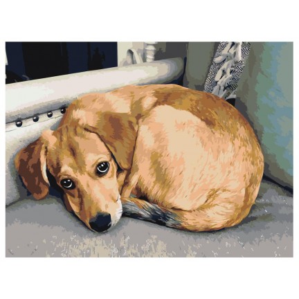 Maalaa numeroilla ets488-3040