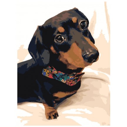 Maalaa numeroilla ets500-30401