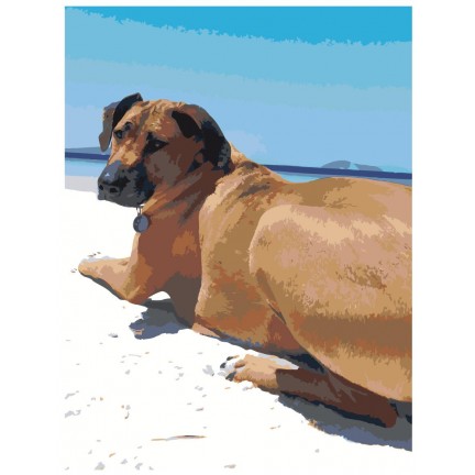 Maalaa numeroilla ets506-30401 Maalaa numeroilla ets506-30401