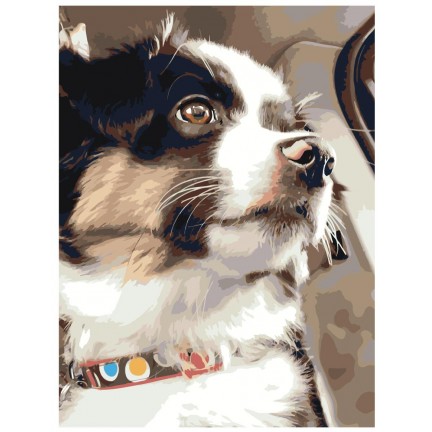 Maalaa numeroilla ets524-3040