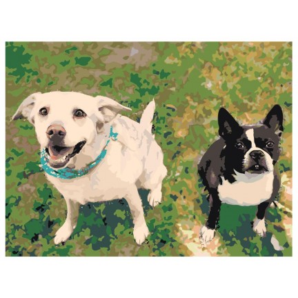 Maalaa numeroilla ets536-30401