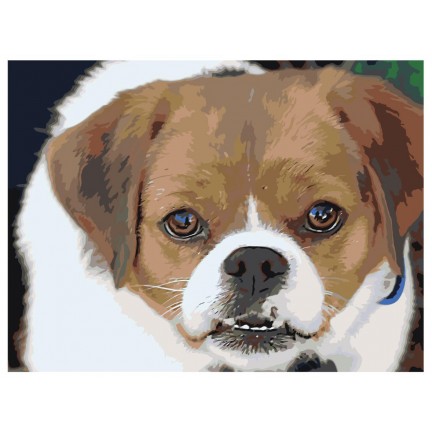 Maalaa numeroilla ets544-3-3040 Maalaa numeroilla ets544-3-3040