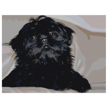 Maalaa numeroilla ets544-3040