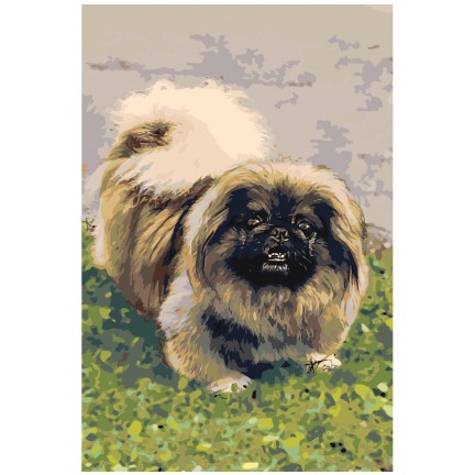 Maalaa numeroilla z5489