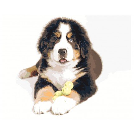 Maalaa numeroilla z6257 Maalaa numeroilla z6257