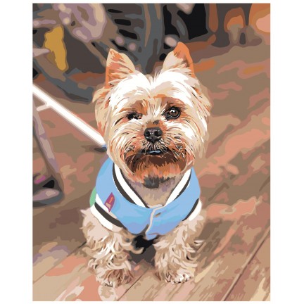 Maalaa numeroilla z69281