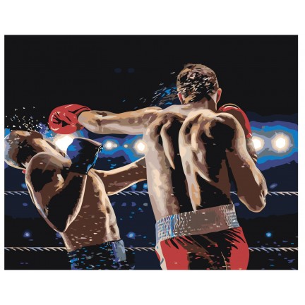 Maalaa numeroilla z70081