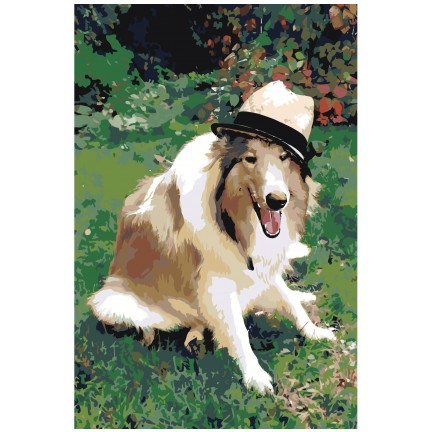 Maalaa numeroilla zai499790-4060