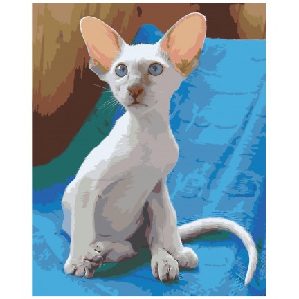 Maalaa numeroilla zai501590-4050