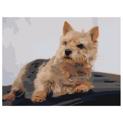 Maalaa numeroilla zai501847-3040