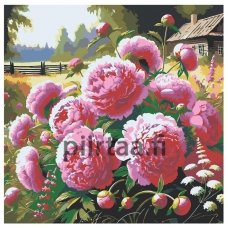 Maalaa numeroilla zgena050525-1