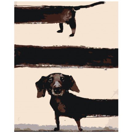 Maalaa numeroilla zgena060624-2