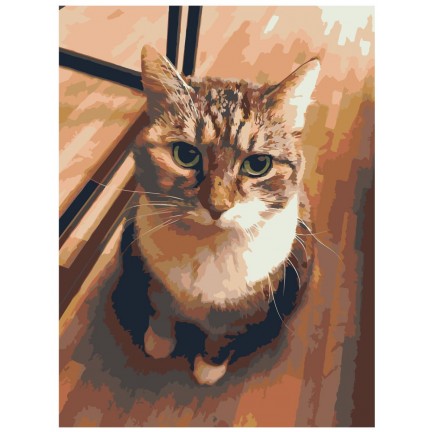 Maalaa numeroilla zgena110320-4-3040