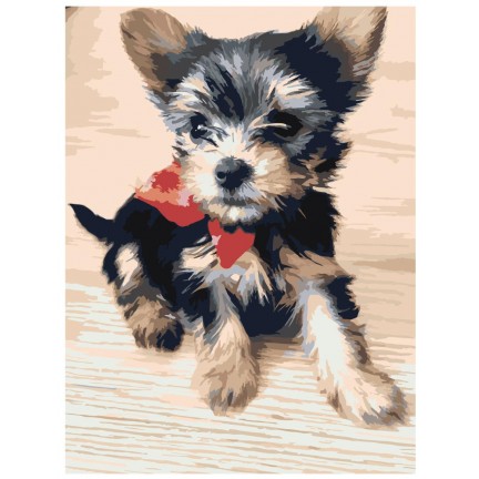 Maalaa numeroilla zgena130420-7 Maalaa numeroilla zgena130420-7