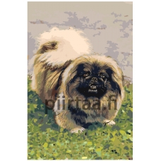 Maalaa numeroilla z5489