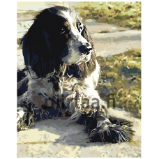 Maalaa numeroilla z5800