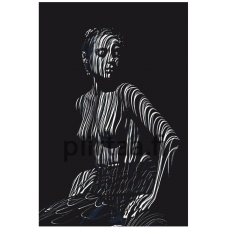 Maalaa numeroilla z6292