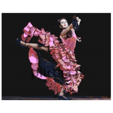 Maalaa numeroilla z6679v3