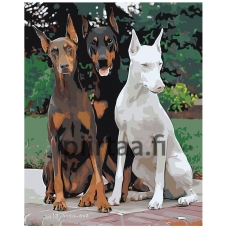 Maalaa numeroilla z6768