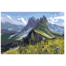 Maalaa numeroilla z6871