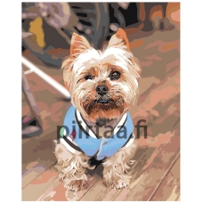 Maalaa numeroilla z69281