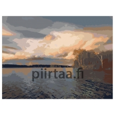 Maalaa numeroilla z69741